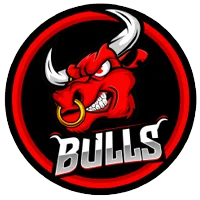 EC Bulls Weiz Logo